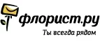Флорист.ру: Магазины цветов Пскова: официальные сайты, адреса, акции и скидки, недорогие букеты